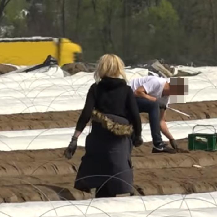 Germania. Muncitorii români, vaccinați după avalanșa testelor PCR false: „Le iau cu 10 euro. Unul din trei muncitori este pozitiv“