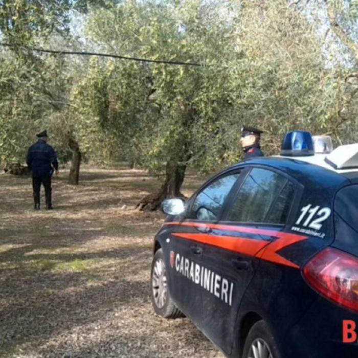 RĂSTURNARE de situație în cazul românului ucis sub ochii soției. Criminalul a fost prins din întâmplare