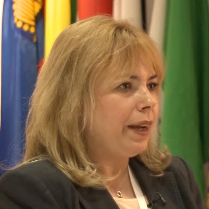 Anca Dragu, interviu pentru El Mundo. Şefa Senatului: "Potenţialul Diasporei este enorm". Declaraţii despre cetăţenie