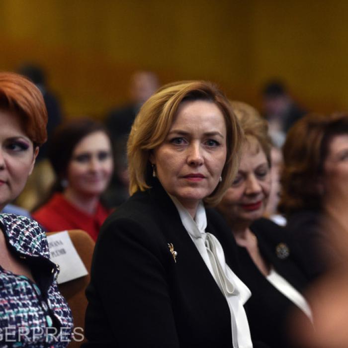 Europarlamentar: „Ne-a gazat, acum s-a angajat. Carmen Dan are un salariu gras”