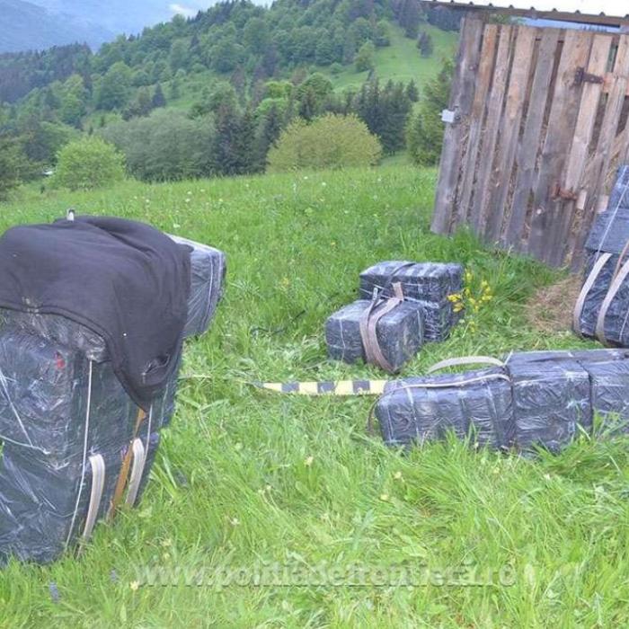 S-au tras mai multe focuri de arma la granița României
