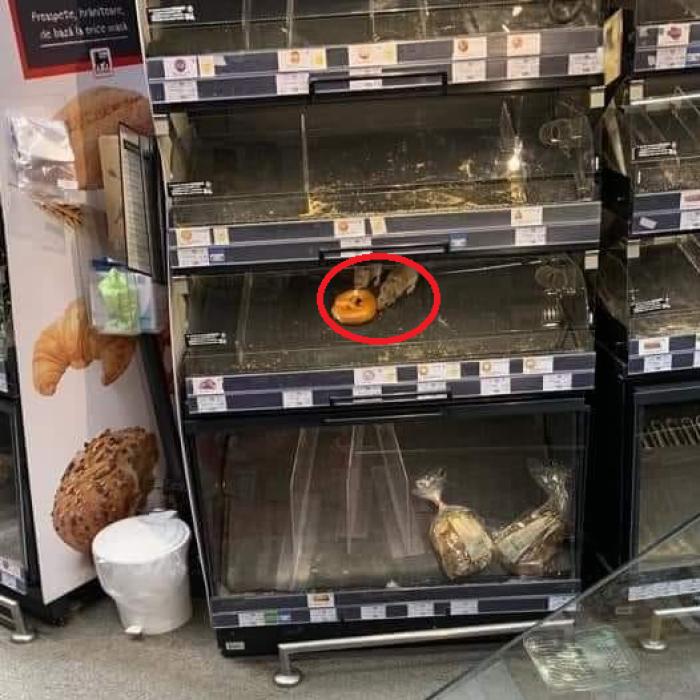Şobolani într-un magazin din centrul Bucureştiului, chiar în raionul de patiserie: "Până unde acceptăm"
