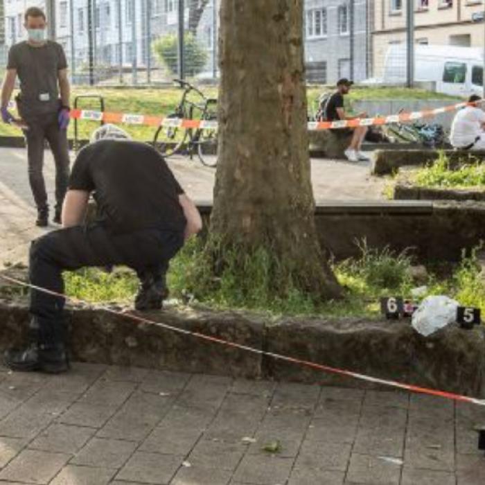 Germania. Adolescent român, ÎNJUNGHIAT de fratele prietenului său. Cu o zi înainte fusese salvat de la înec