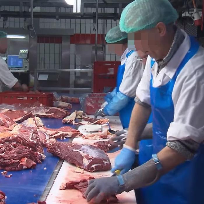 Zeci de muncitori români înșelați: Plăteau ilegal câte 7.000 de euro subcontractorilor pentru a se angaja în Germania, la Tonnies