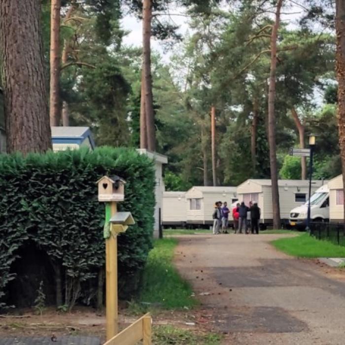 Belgia. Două autocare pline cu români, motiv de scandal într-un camping turistic: „Nu e uman pentru muncitori, nu e frumos pentru turiști“