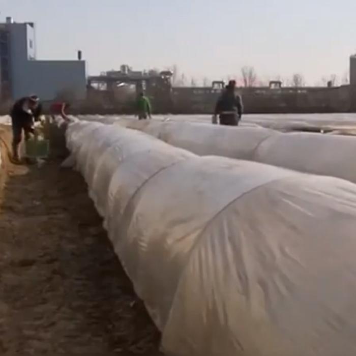 Presa din Olanda: „Românii suportă abuzurile în străinătate pentru că nimeni din țara de origine nu i-a învățat că au drepturi”