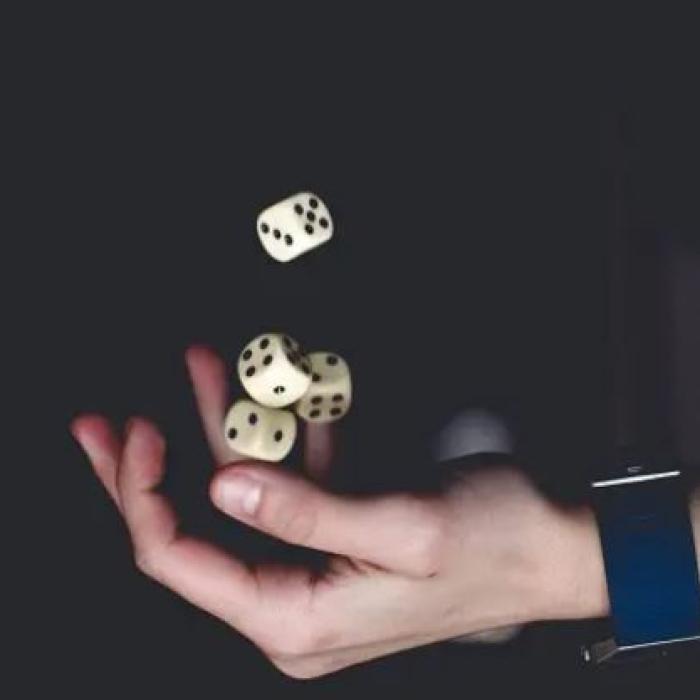 Cinci români, prinși când practicau ilegal jocuri de noroc pe mii de euro: Aveau o masă special de cazinou