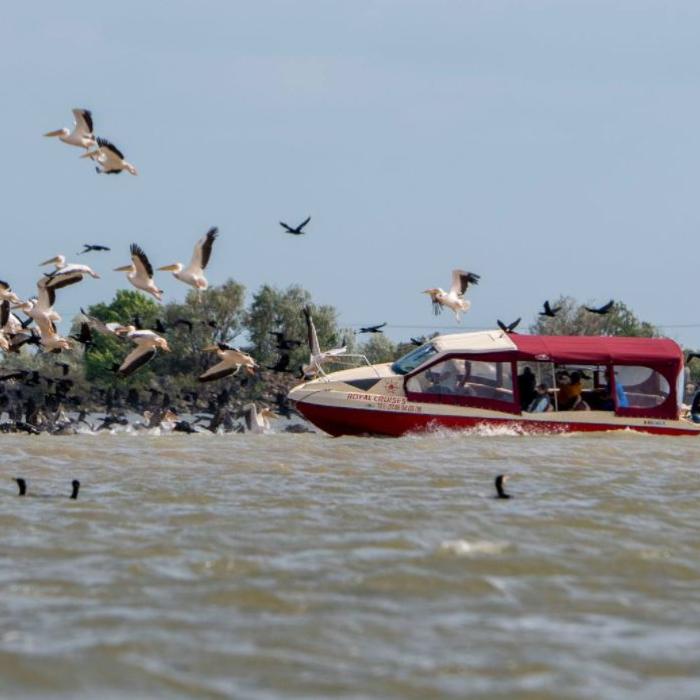 Se schimbă regulamentele de transport în Delta Dunării, din cauza șmecherilor care merg cu viteză și aruncă gunoaie