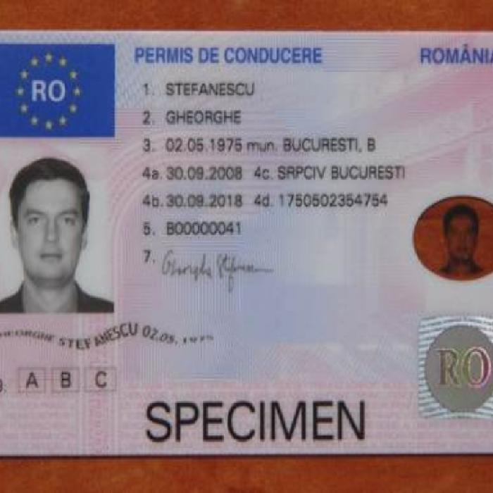 Cinci bărbați care falsificau buletine, permise, diplome de bac, arestați. Aveau comenzi din străinătate și funcționau de doi ani