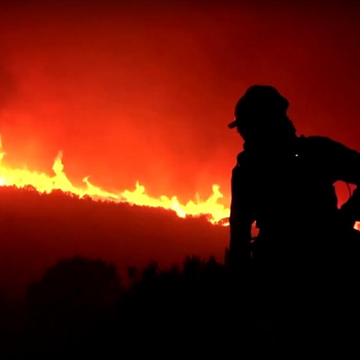 Incendiu în Spania. SUTE de hectare de pădure, distruse: "O ţigară nestinsă aruncată neglijent înseamnă 50 de ani de reîmpădurire"