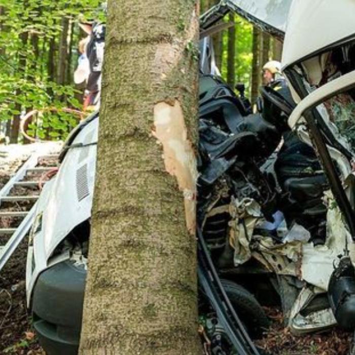 Austria. Român rănit GRAV, după ce duba pe care o conducea s-a făcut praf pe o pantă din pădure 