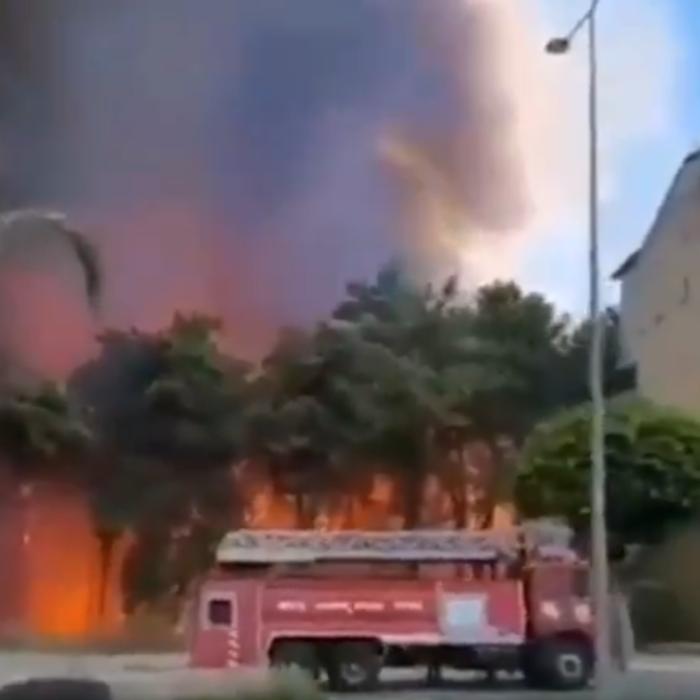 Turcia. Incendii masive de vegetaţie. Mai multe localităţi, evacuate