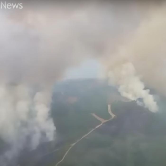 Incendii Italia. Un ministru acuză: "70% sunt provocate de mâna omului"