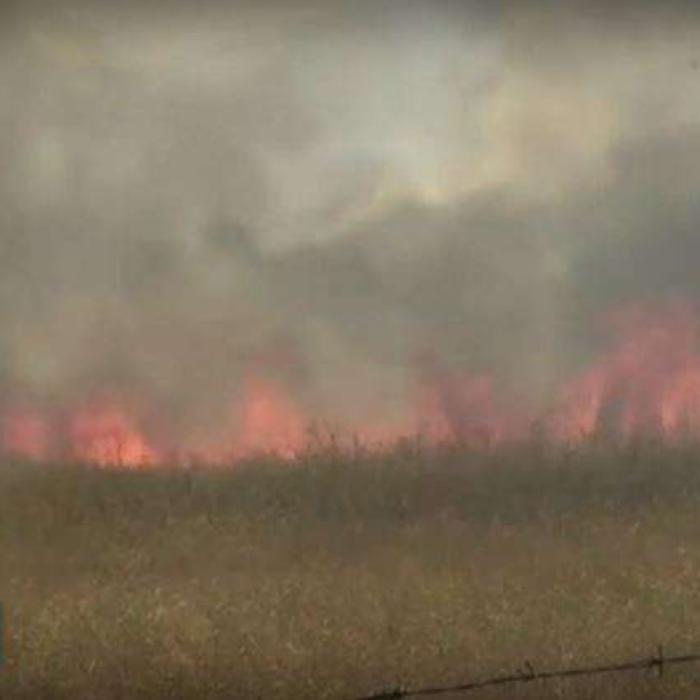 Sute de incendii în Bulgaria: Sunt deja doi MORȚI, iar autoritățile au ridicat gradul de alertă