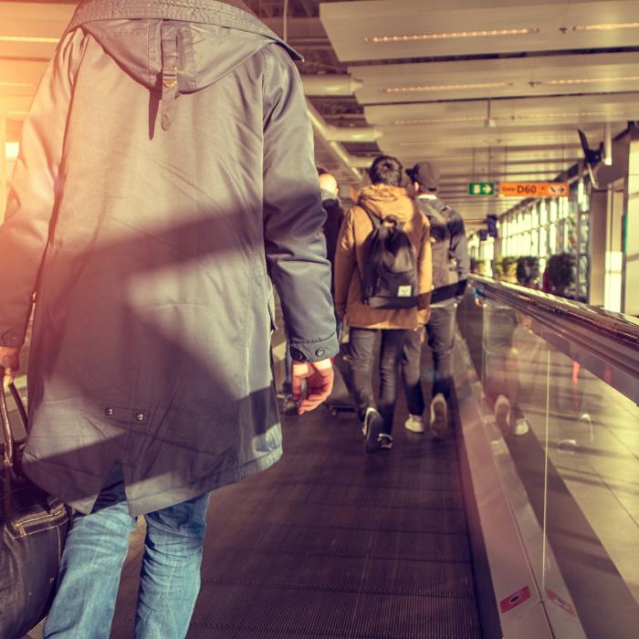Român venit din Spania, depistat cu COVID-19 de câinii dresaţi din aeroport. Zeci de români au fost plasaţi în carantină