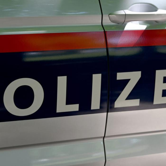 Austria. Doi tineri români, între care un minor de 14 ani, reținuți după ce au agresat un alt tânăr
