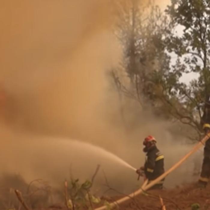 Incendiile continuă să mistuie Grecia: „Nu știm ce ne va aduce ziua de mâine. Suntem cu toţii disperaţi”