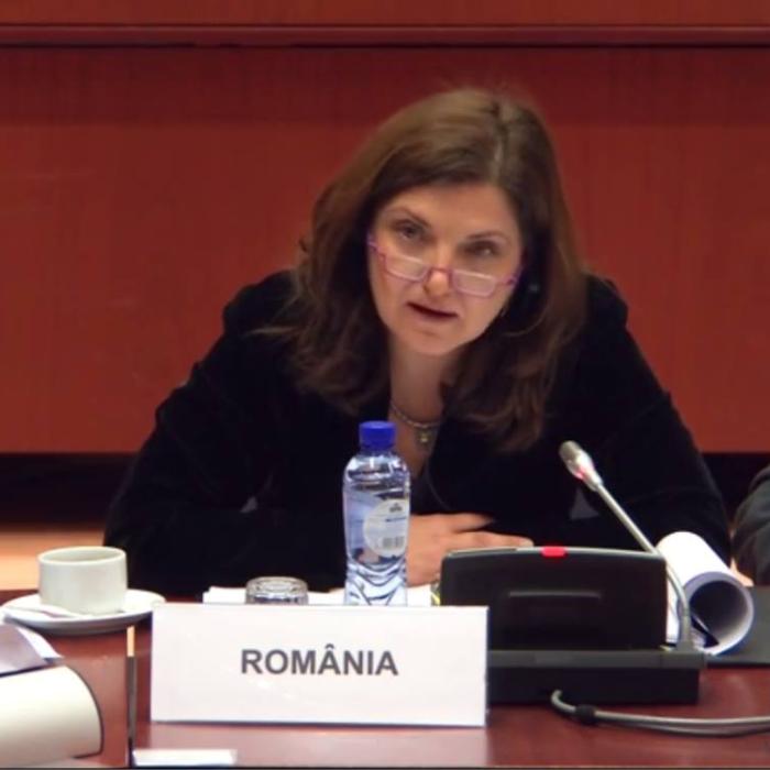 Raluca Prună, săgeți către Florin Cîțu după remanierea lui Stelian Ion: „Modernizează România, noaptea, ca hoții“