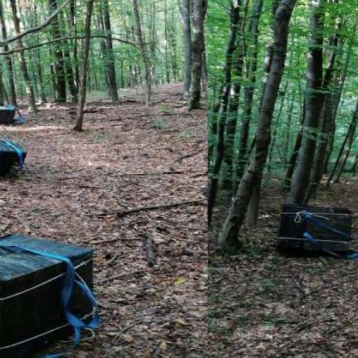 Focuri de armă, trase de poliţiştii români de frontieră. Șase persoane au trecut ilegal frontiera 