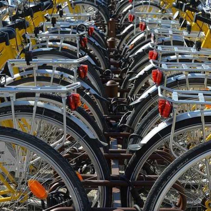 Austria. Zeci de biciclete scumpe furate de doi români, găsite într-o casă din Krems. Multe dintre ele erau deja demontate și gata de dus în România