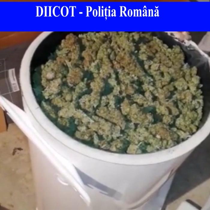 Cannabis la găleată, prin curier. Metoda prin care mai mulți români din Spania trimiteau acasă "pachete speciale"