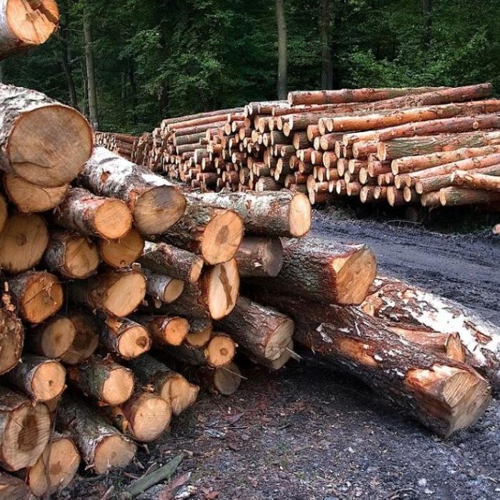 Lemnele pentru foc se ieftinesc. Lege adoptată: TVA redus de la 19% la 5%