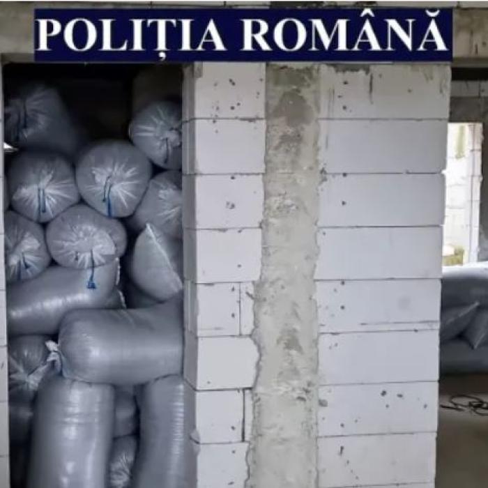 Român, arestat preventiv pentru furtul a peste 12 tone de semințe de floarea-soarelui de pe o barjă