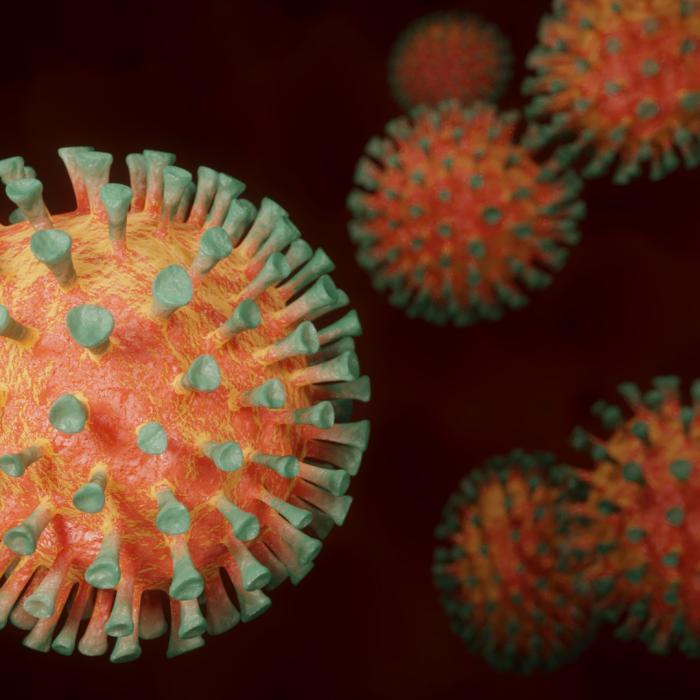 Germania clasifică Franţa şi Danemarca drept zone de infecţii cu ''risc ridicat''