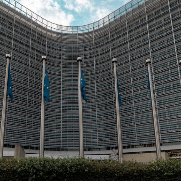 Comisia Europeană a iniţiat o propunere prin care centralele nucleare şi pe gaz să fie considerate proiecte verzi