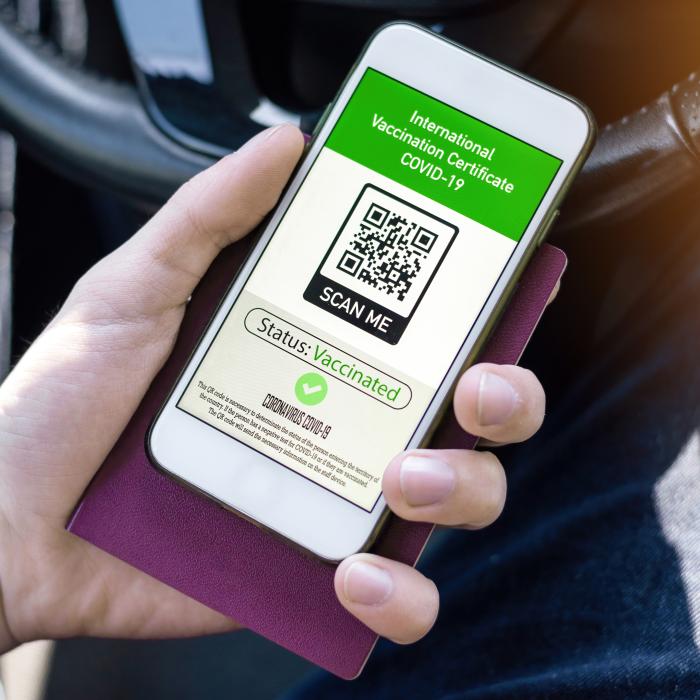 Germania. Român, prins la frontieră cu certificat de vaccinare fals