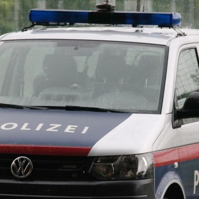 Austria. Un șofer român de TIR a provocat un accident și s-a ascuns într-un tufiș: Fugarul consumase destul de mult alcool