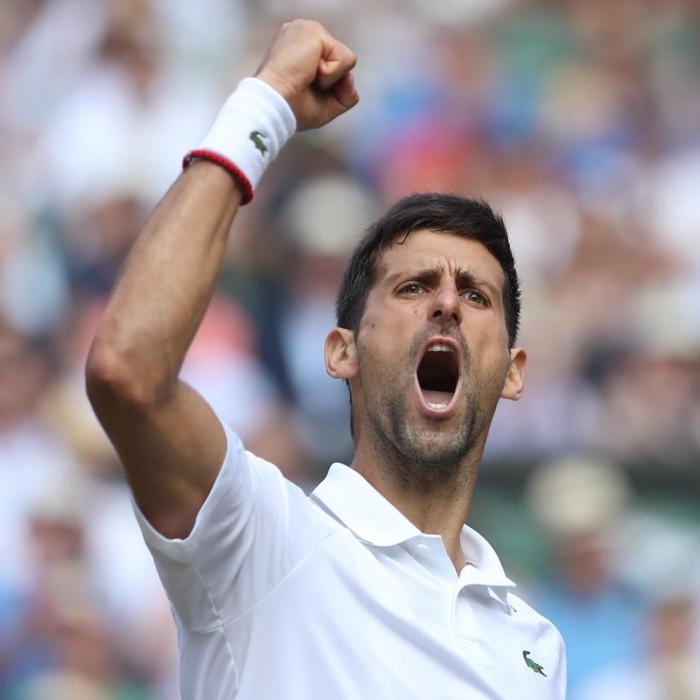 Reacţia lui Djokovic: Sunt extrem de dezamăgit de decizia Curţii