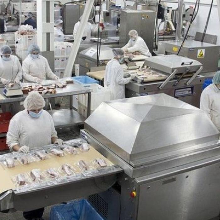 Olanda. Muncitor român, bătut de patron. Povestea lui Ionuț, care a fugit în Anglia după ce a fost agresat: „Lucrătorii trebuie tratați cu mai mult respect!”