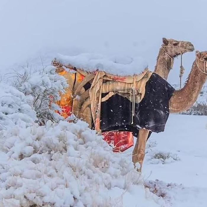 Fenomene meteo extreme: A nins în deșertul Sahara. Pentru a cincea oară în ultimii 42 de ani