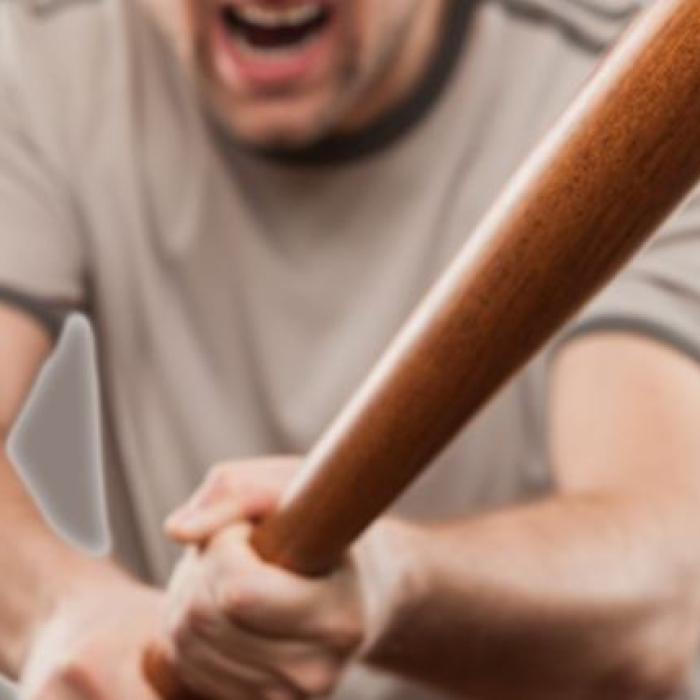 Austria. Român, amenințat cu moartea, după ce s-a bătut cu un coleg. Mașina sa, distrusă cu o bâtă de baseball
