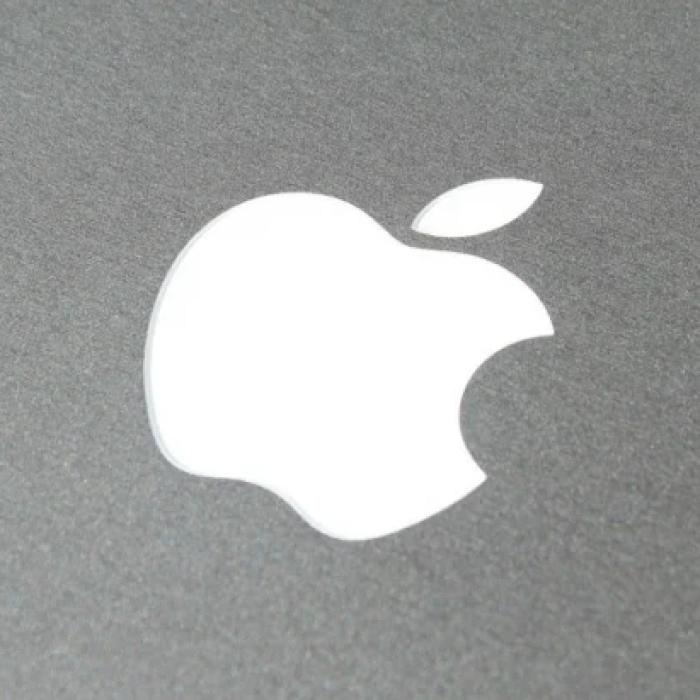 Apple, venituri record