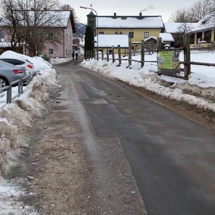 Austria. Românca ce a accidentat mortal o conațională și pe fiul acesteia a recunoscut că a făcut-o intenționat. FOTO