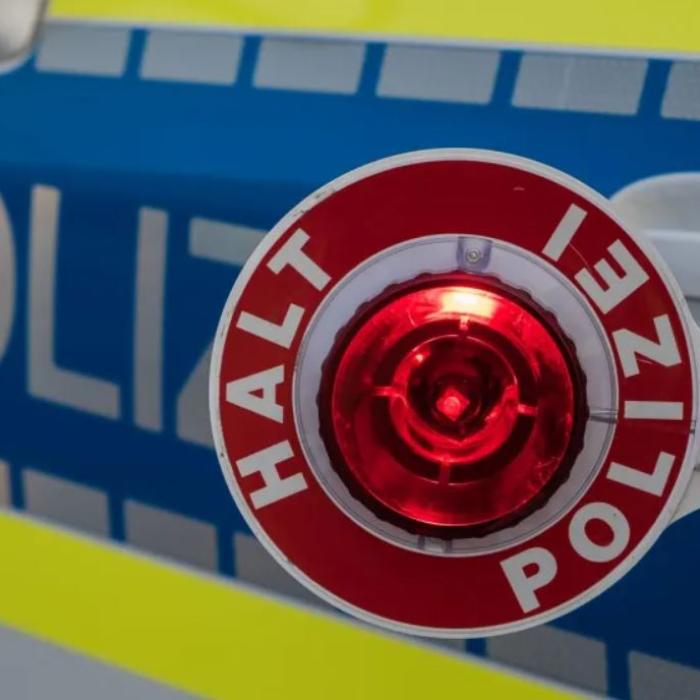 Austria. Mașină, în care se afla o familie de români, trasă pe dreapta. Șoferul nu avea permis, iar minorii - scaune auto speciale