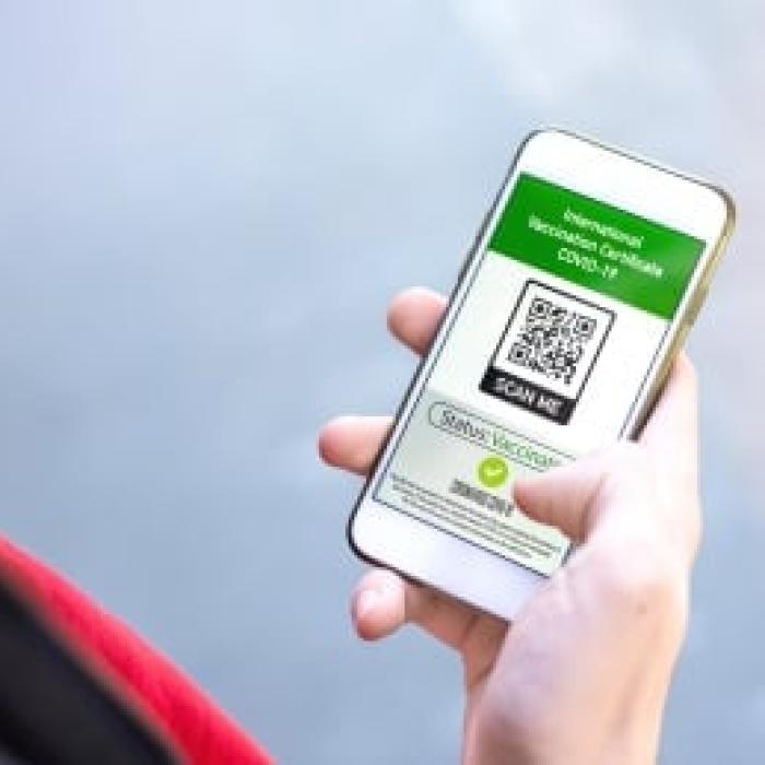 SMS-ul, semnat de Ministerul Sănătății, care a alarmat toată Italia: „Certificatul dumneavoastră verde a fost clonat“. Poliția explică
