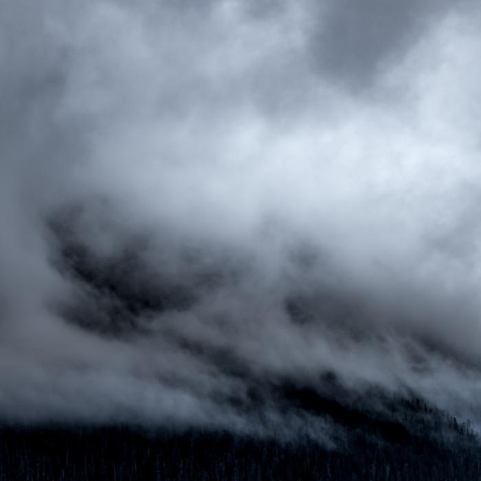 Cod galben de ceață densă și vânt puternic. Care sunt județele afectate de condițiile meteo