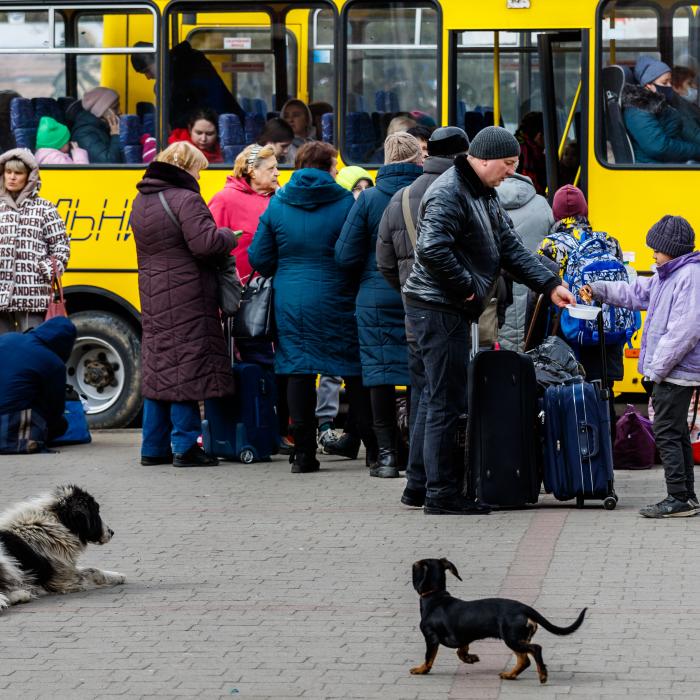 Ucraina: Aproximativ 20.000 de persoane au fost evacuate marţi din oraşul Mariupol asediat