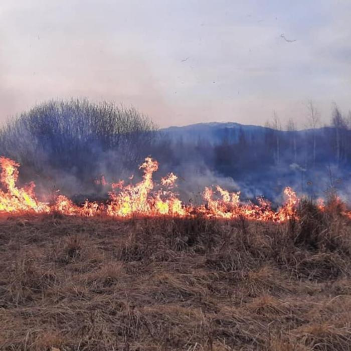 Bărbat, găsit carbonizat, în urma unui incendiu de vegetație în Bihor
