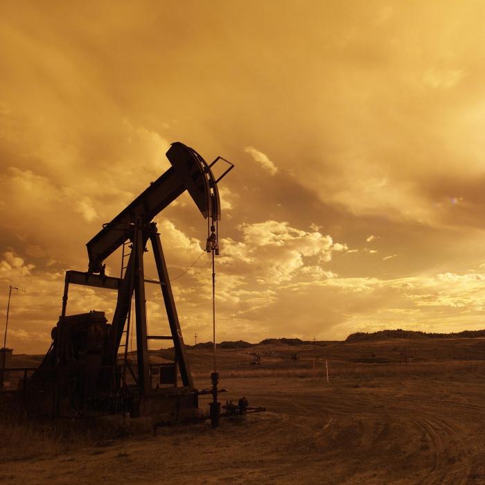 SUA scoate petrol din rezervele strategice, pentru a tempera prețurile carburanților pe plan mondial