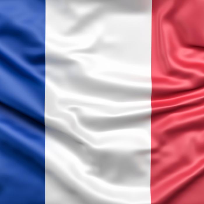 Alegeri în Franța. Votul pentru alegerile prezidențiale a început în teritoriile franceze de peste mări