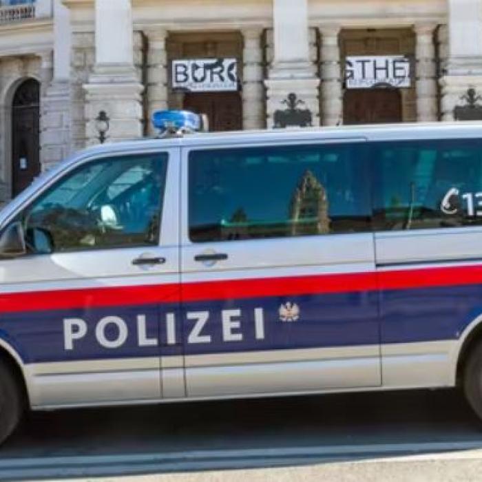 Doi români au furat motoare de bărci, în valoare de mii de euro, dintr-un port din Austria: Un martor vigilent le-a stricat planurile