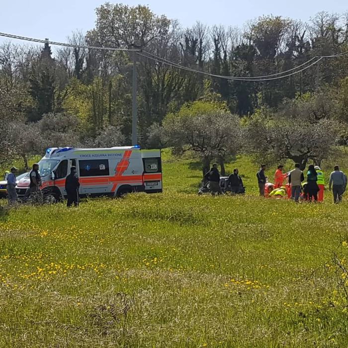 Italia. Doi români au văzut moartea cu ochii, după ce au lovit o căprioară și s-au răsturnat cu mașina 