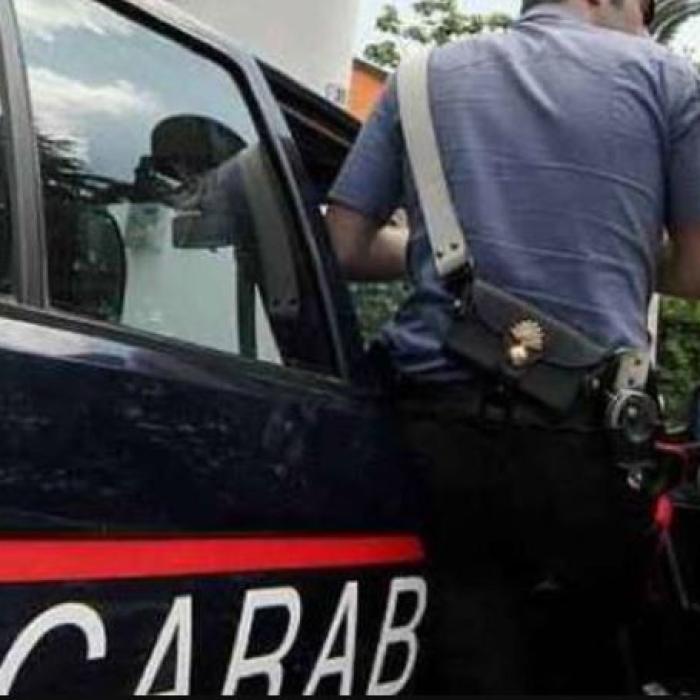 Italia. Un moldovean care își agresa iubita și creștea droguri în ghiveci, săltat de polițiști după un scandal