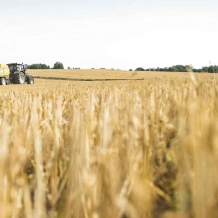 O nouă meserie în România, cea de expert în dezvoltare durabilă. Borbely: Suntem primii din Europa