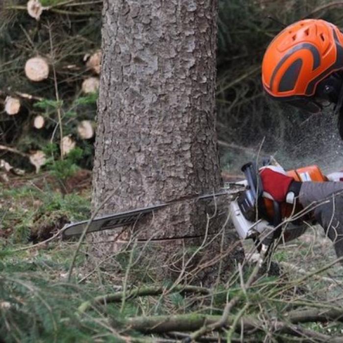 Austria. Muncitor român, rănit în timpul unor lucrări forestiere. Bărbatul a fost dus de Crucea Roșie la spital