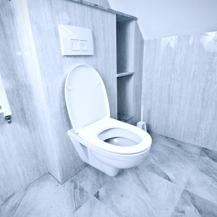 Baia ta miroase urât? Colțuri ale toaletei pe care sigur NU le spălați. Trucul care face furori pe TikTok